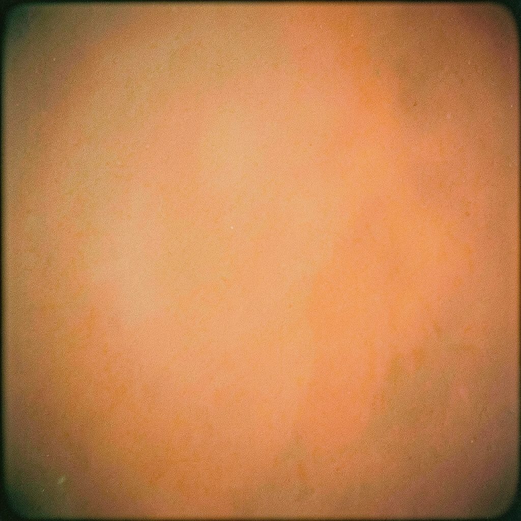 Menschenmenge vor einer Konzertbühne, warmes Licht